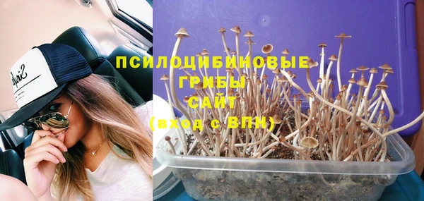 мдпв Вязники