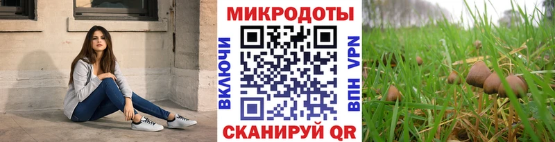 Галлюциногенные грибы мухоморы  блэк спрут как зайти  Звенигово 